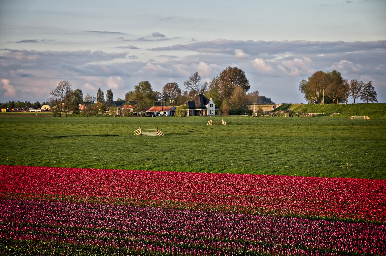 20100501 OosterleekBollen 14
